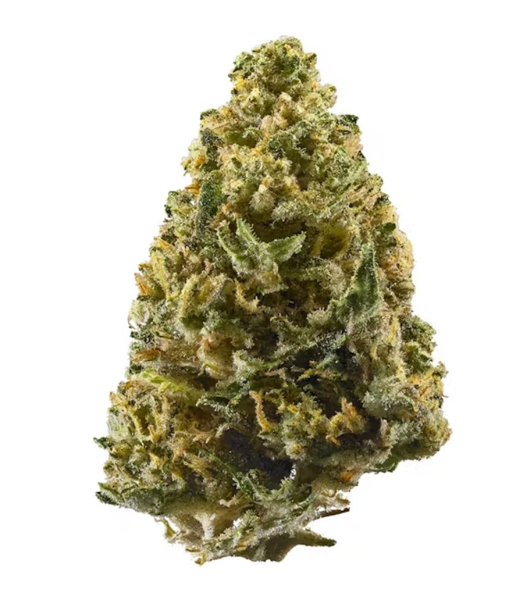 northern lights buds
