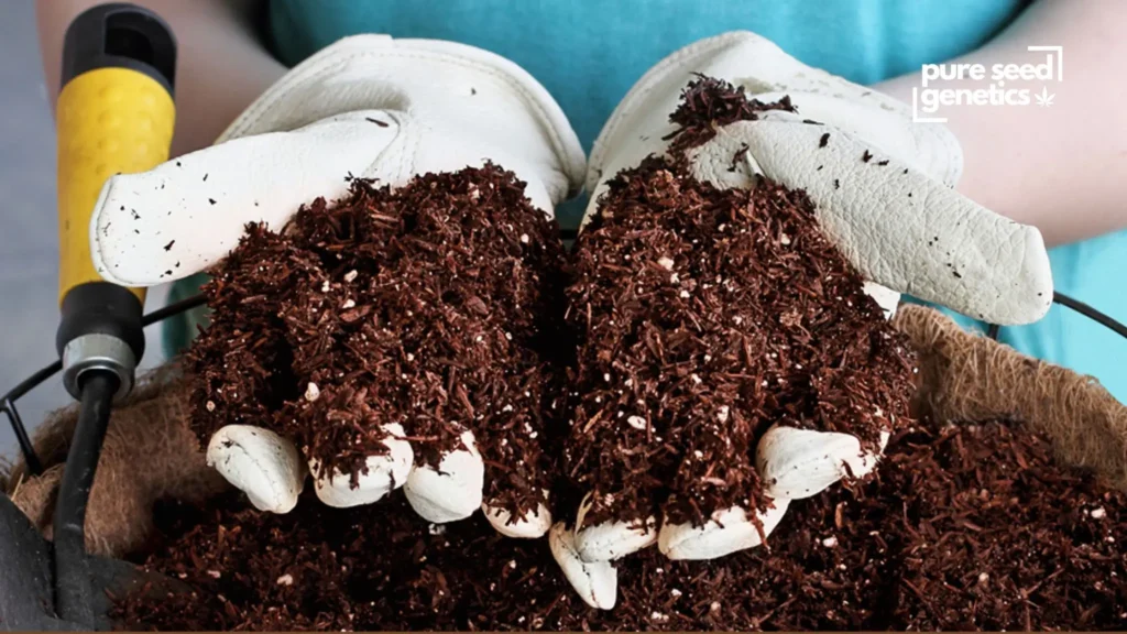 Soil vs Soilless Mixes (Coco & Peat)