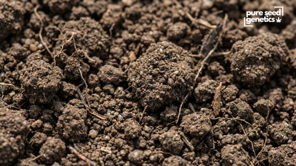 Understanding Loamy Soil