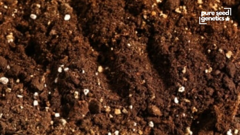 What Is Super Soil?